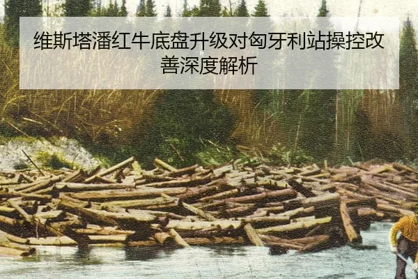 wei-si-ta-pan-hong-niu-di-pan-sheng-ji-dui-xiong-ya-li-zhan-cao-kong-gai-shan-shen-du-jie-xi-3-586.jpg