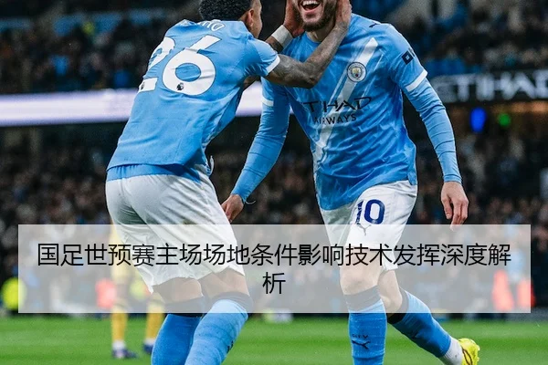 国足世预赛主场场地条件影响技术发挥深度解析